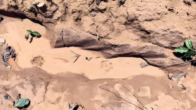 Quelques traces laissées par la panthère