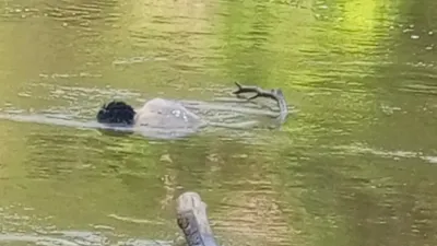 Le corps de Yarel a été retrouvé le lendemain de la noyade flottant sur les eaux de la Sébé