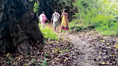 Forêt de Biweni à Lambaréné