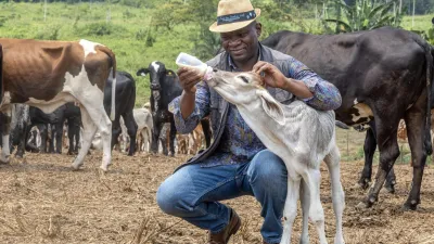 Le président de la Transition, Brice Clotaire Oligui Nguema en visite à la ferme agricole d'Agropag © DR