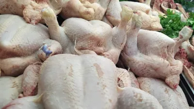 Alimentation : le Gabon dit stop au poulet importé